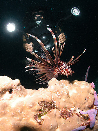 Underwater videographer using a closed circuit rebreather, capturing the early appearance of Lion Fish in the Bahamas.