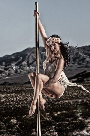 Photo of a sexy poll dancer on her poll in the desert.