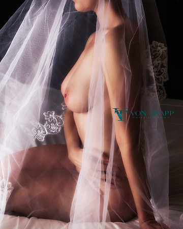 Wedding boudoir photo of a woman on a bed nude wearing a veil.