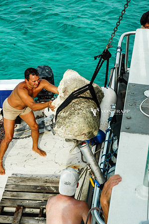 Photo of a centuries old stromatolite being loaded aboard a vessel, Grand Exuma, Bahamas.