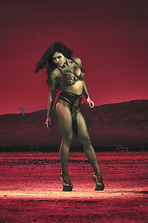 Sexy stylized glamour fine-art photo of a woman in the desert in lingerie.