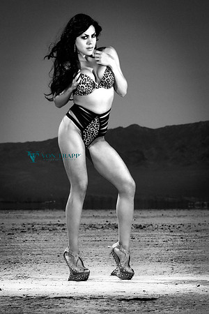 Fashion-glamour photo of a sexy woman in the desert.
