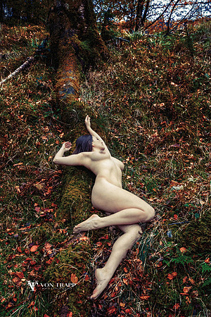 Art nude photo of a hot busty woman reclined in a forest in the English Lake District.